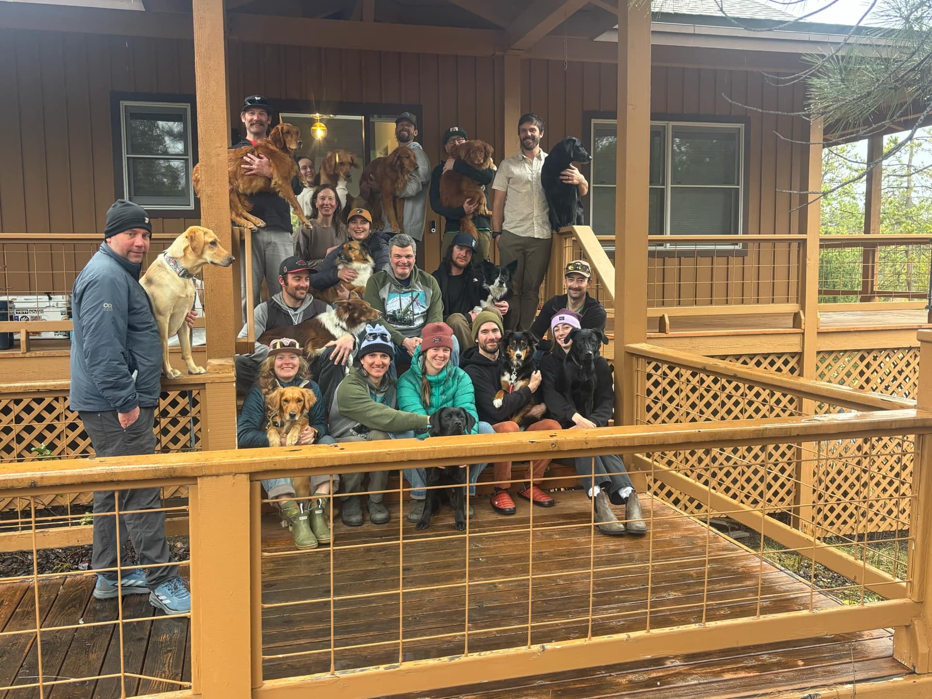 A group of people sitting and standing on the porch steps of a wood-sided cabin, most with a dog in their arms or at their feet: golden retrievers, black and yellow Labs, and collie-type dogs.