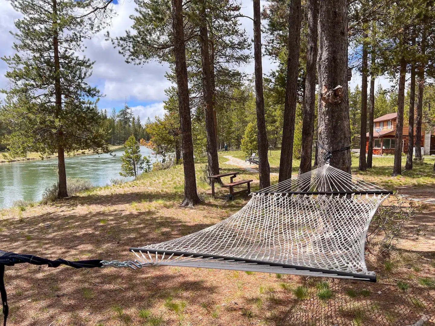 A hammock tied to trees near a riverbank in a forested area with a house visible in the background.